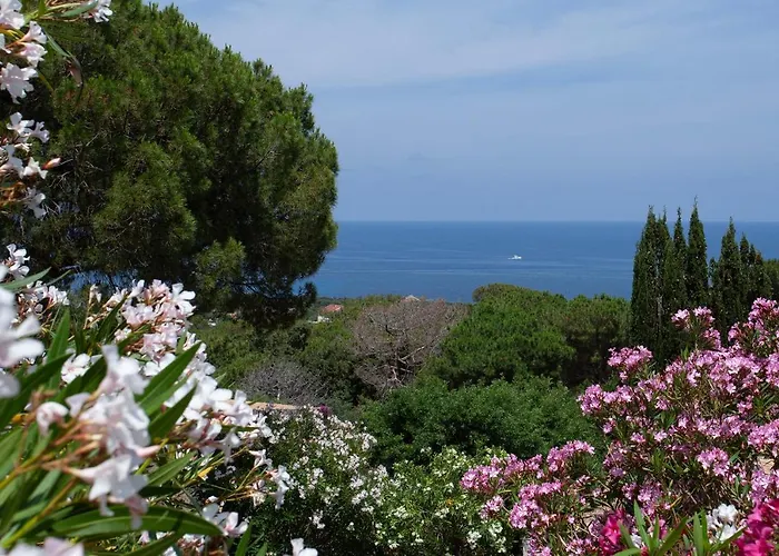 Hébergement de vacances Davia 1 - Grande Terrasse Vue Panoramique Sur La Corbara